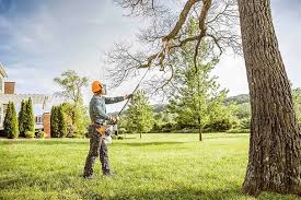 How Our Tree Care Process Works  in  Fletcher, NC